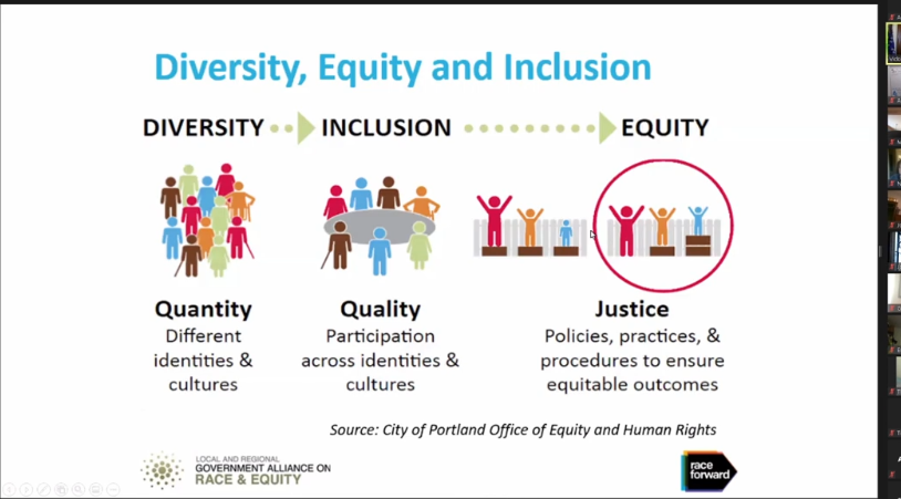 equity diversity and inclusion and international journaly